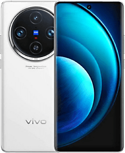 Vivo X300
